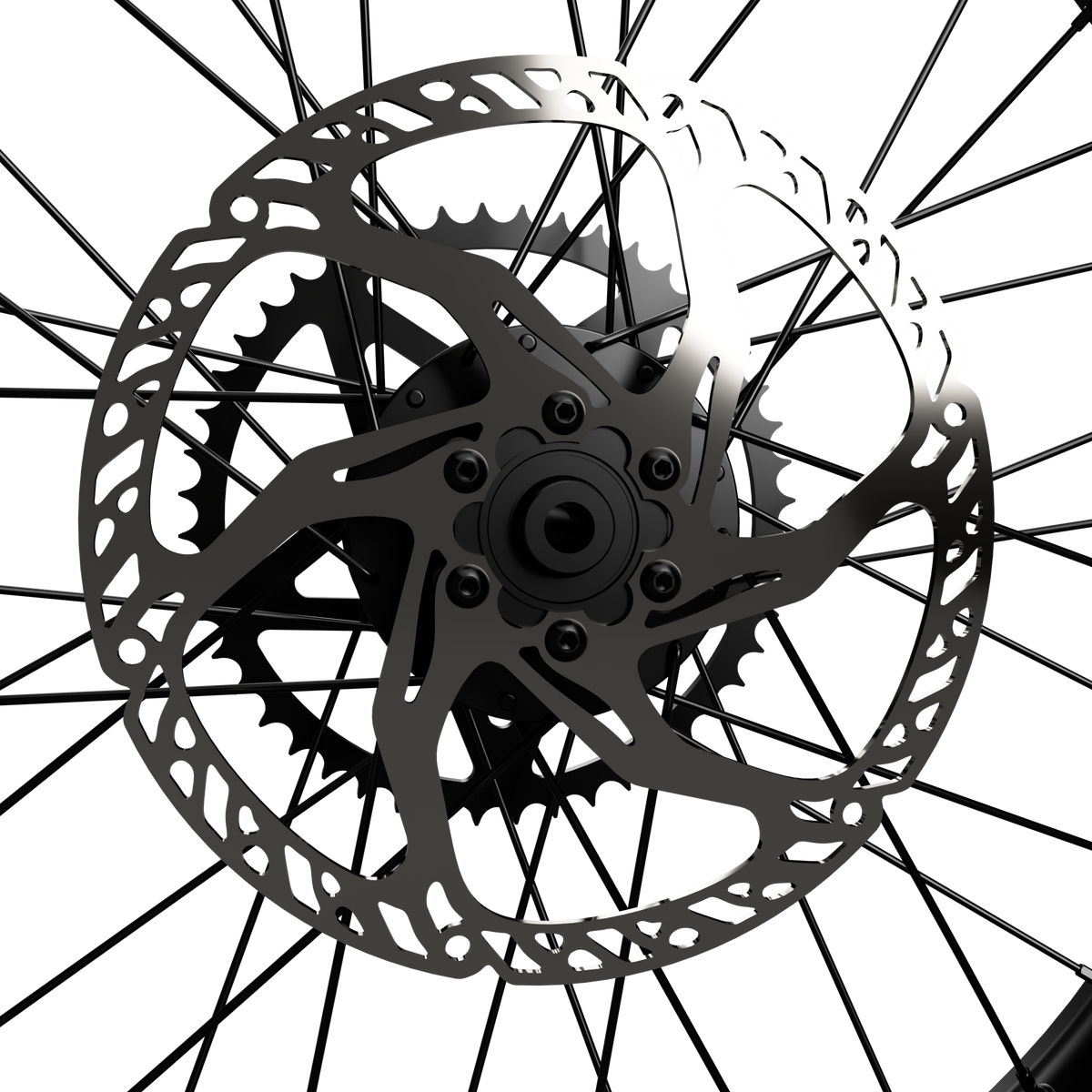 220mm Surron Fixed Rotor Prickly Motorsports