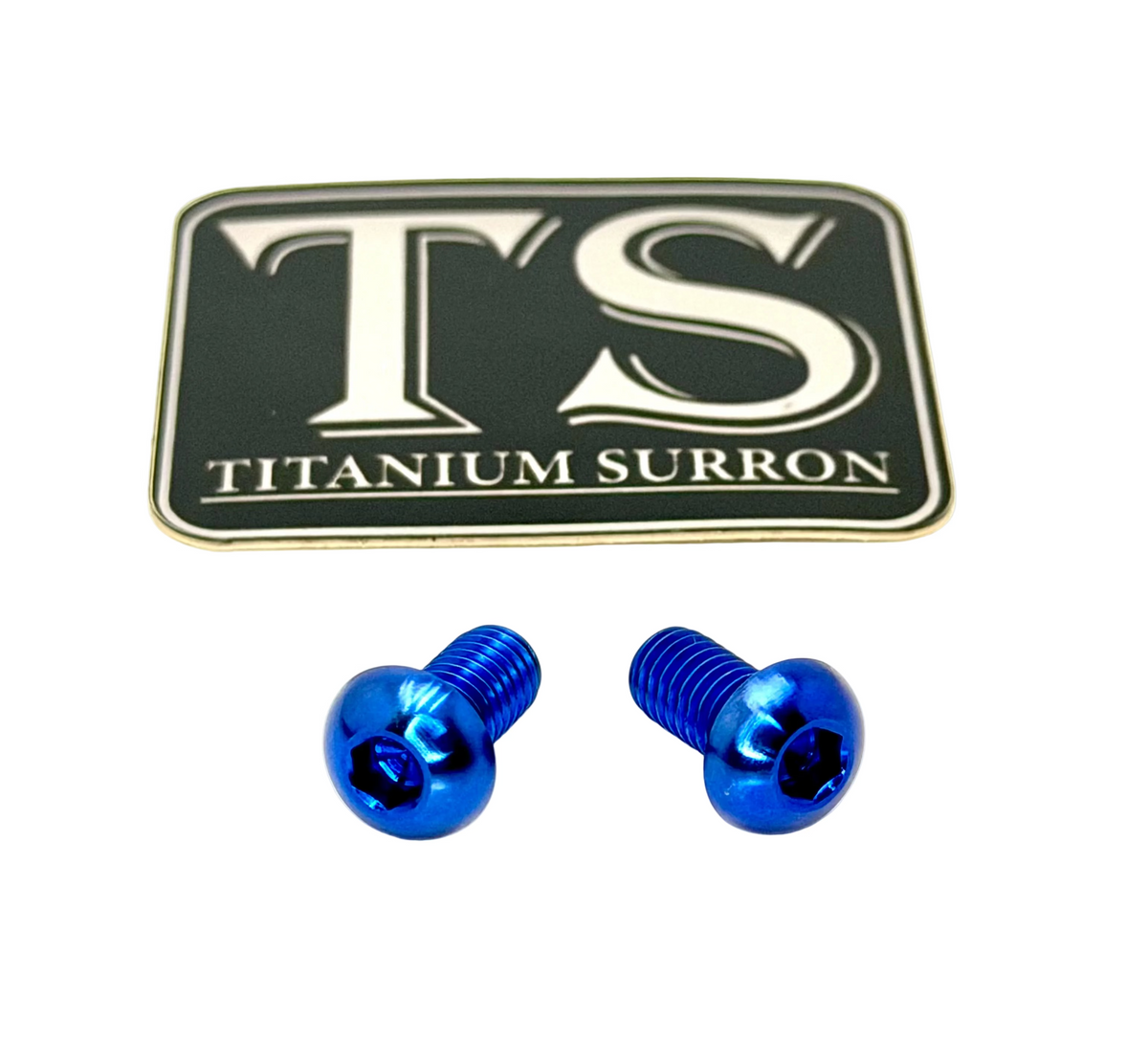 Titanium Motor Cover Bolts (Set of 2) — E-Moto Titanium Surron