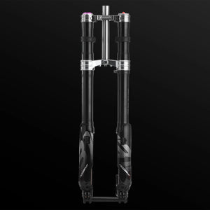 RFloXa Hawk31 Pro Fork Modded Moto Co