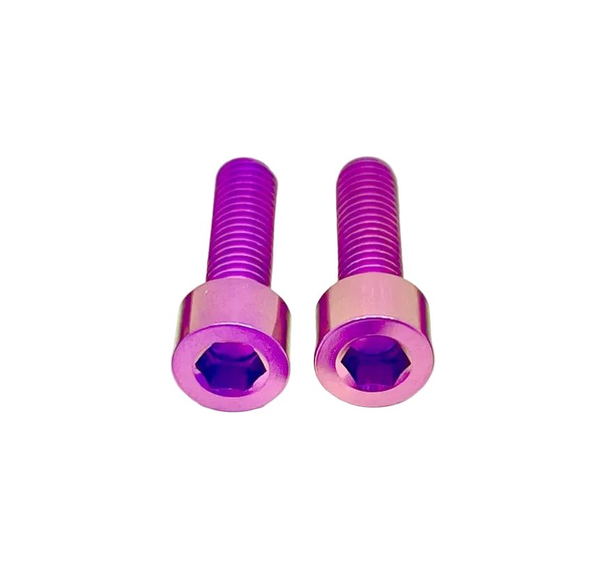 Titanium Motor Cover Bolts (Set of 2) — E-Moto Titanium Surron