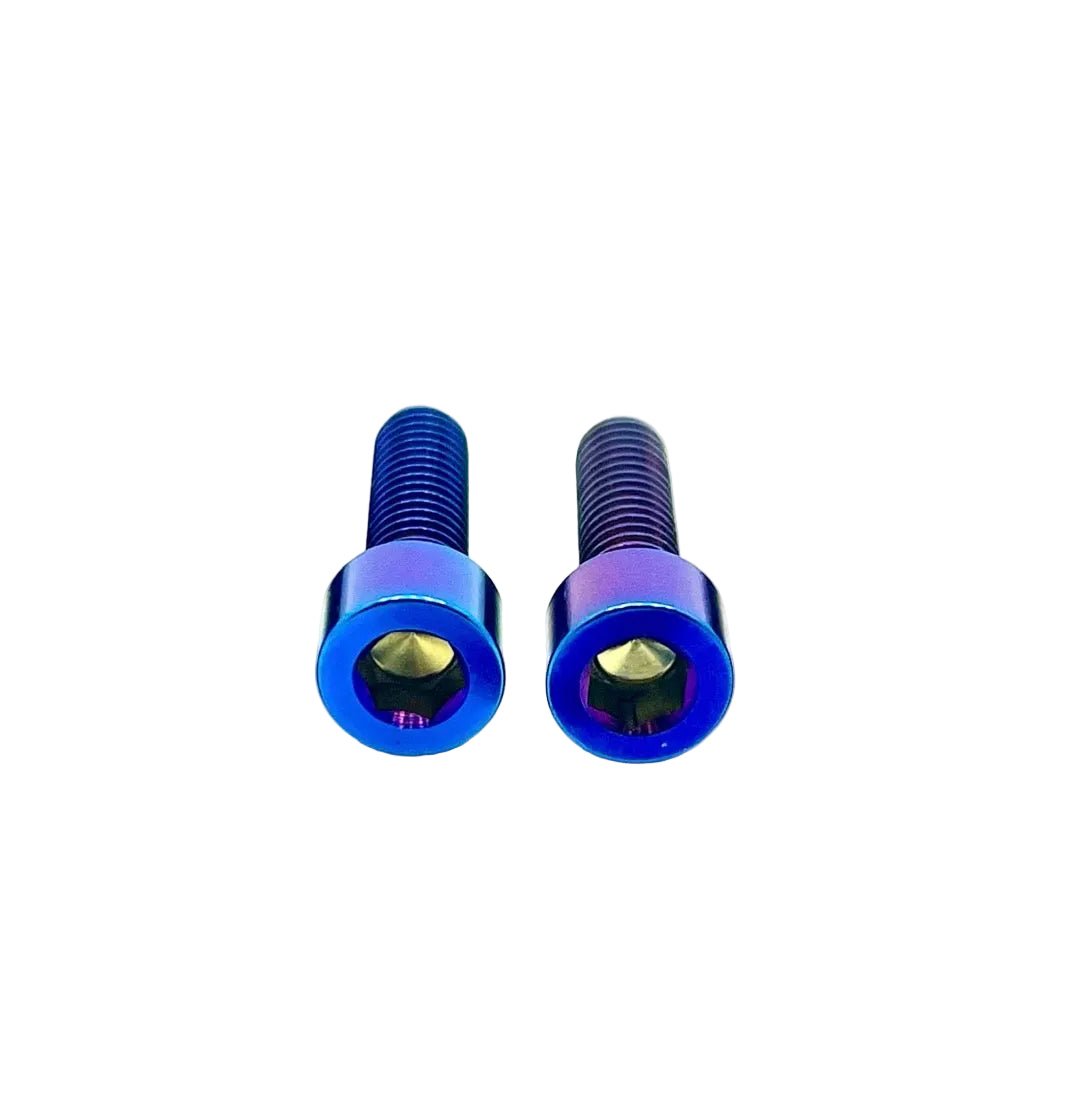 Titanium Motor Cover Bolts (Set of 2) — E-Moto Titanium Surron