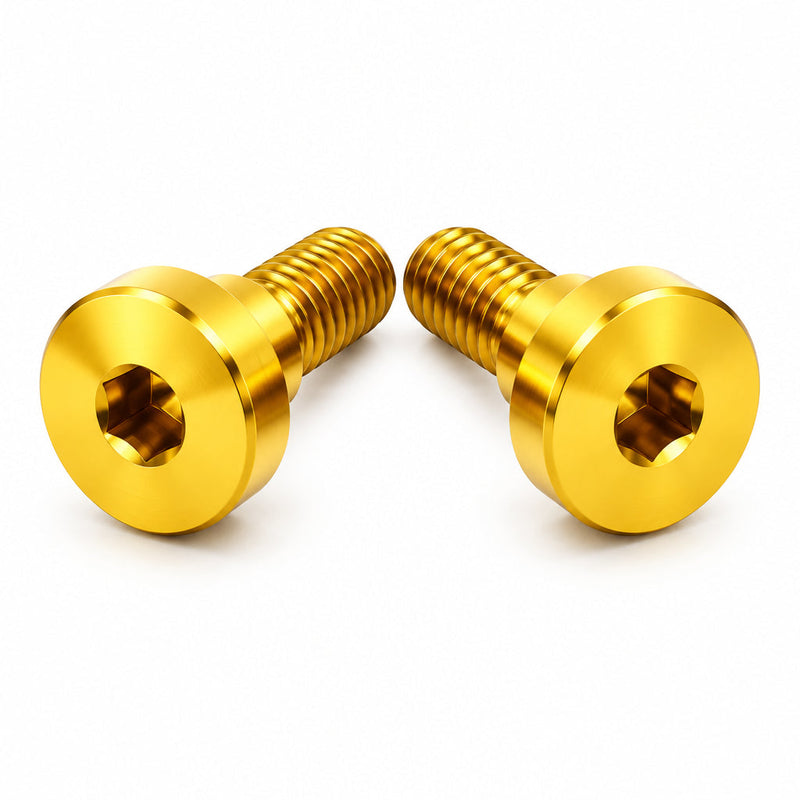 Titanium Battery Lid Bolts - E-Ride Pro - (Two Pcs) Titanium Surron