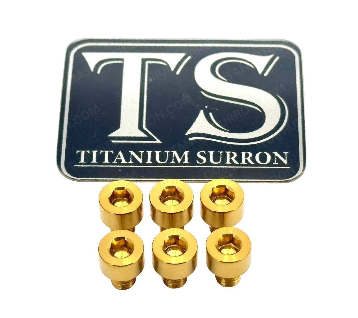 EBMX X9000 Heat Sink Titanium Bolt Kits (6) Titanium Surron