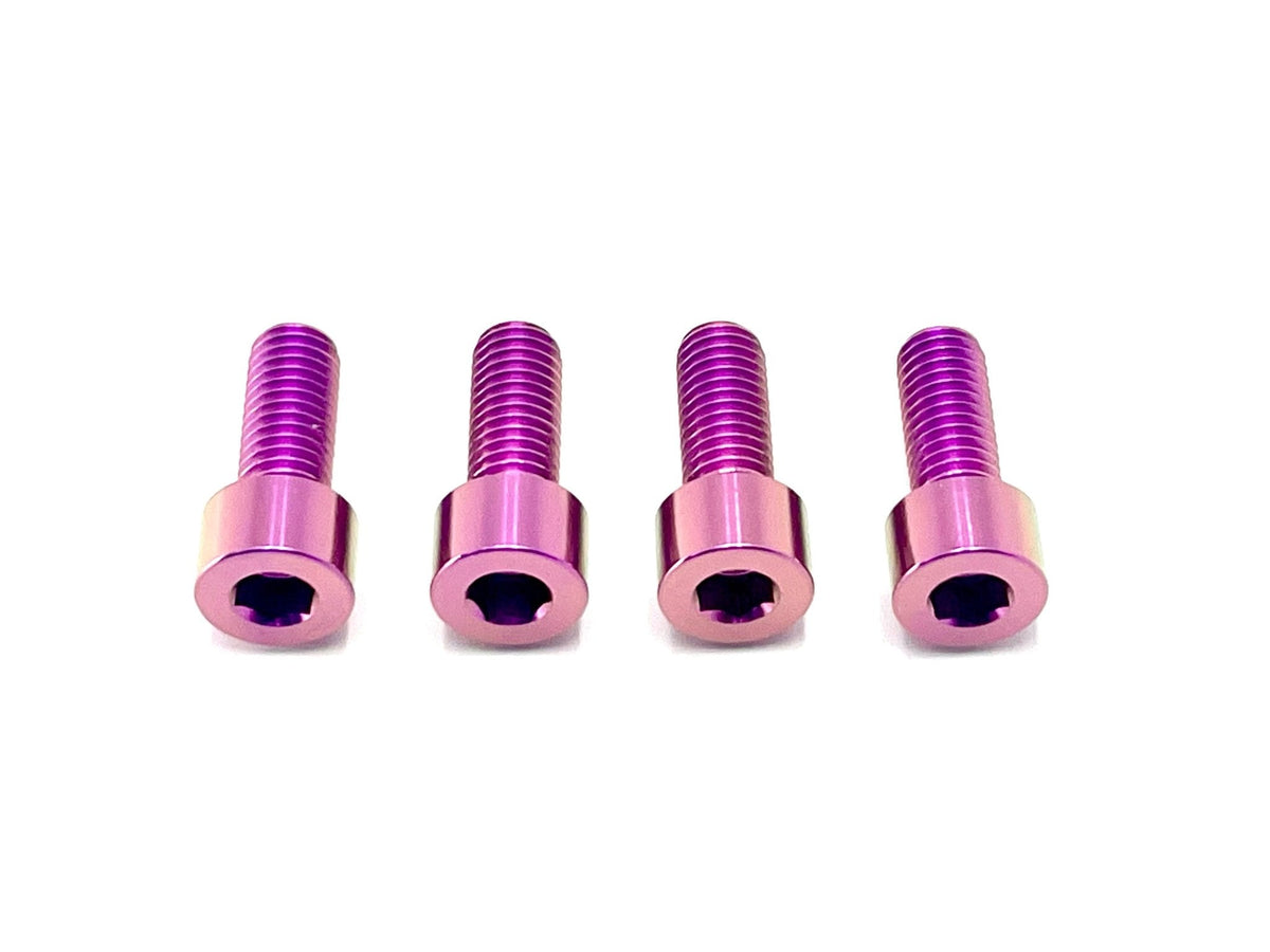 Titanium Bash Guard/ Skid Plate Bolts - Surron LBX and Segway (Set of 4) - Riot Racing