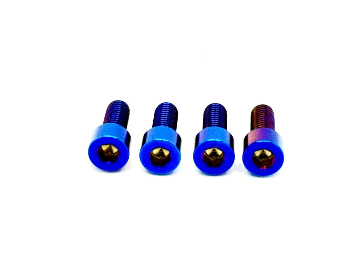 Titanium Bash Guard/ Skid Plate Bolts - Surron LBX and Segway (Set of 4) - Riot Racing