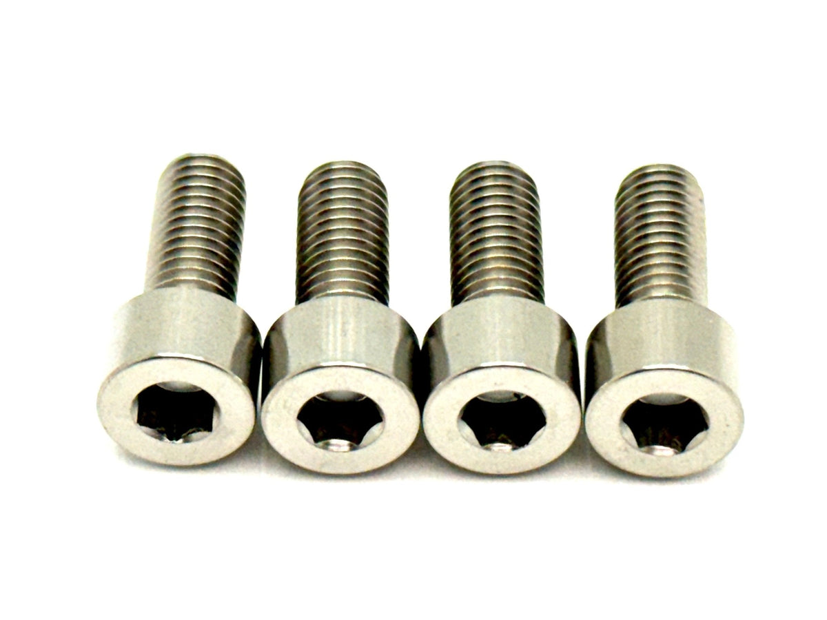 Titanium Bash Guard/ Skid Plate Bolts - Surron LBX and Segway (Set of 4) - Riot Racing