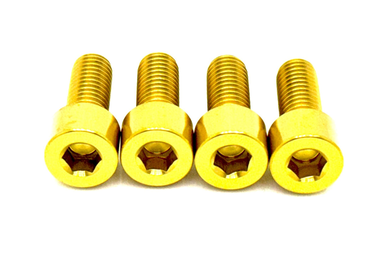 Titanium Bash Guard/ Skid Plate Bolts - Surron LBX and Segway (Set of 4) - Riot Racing