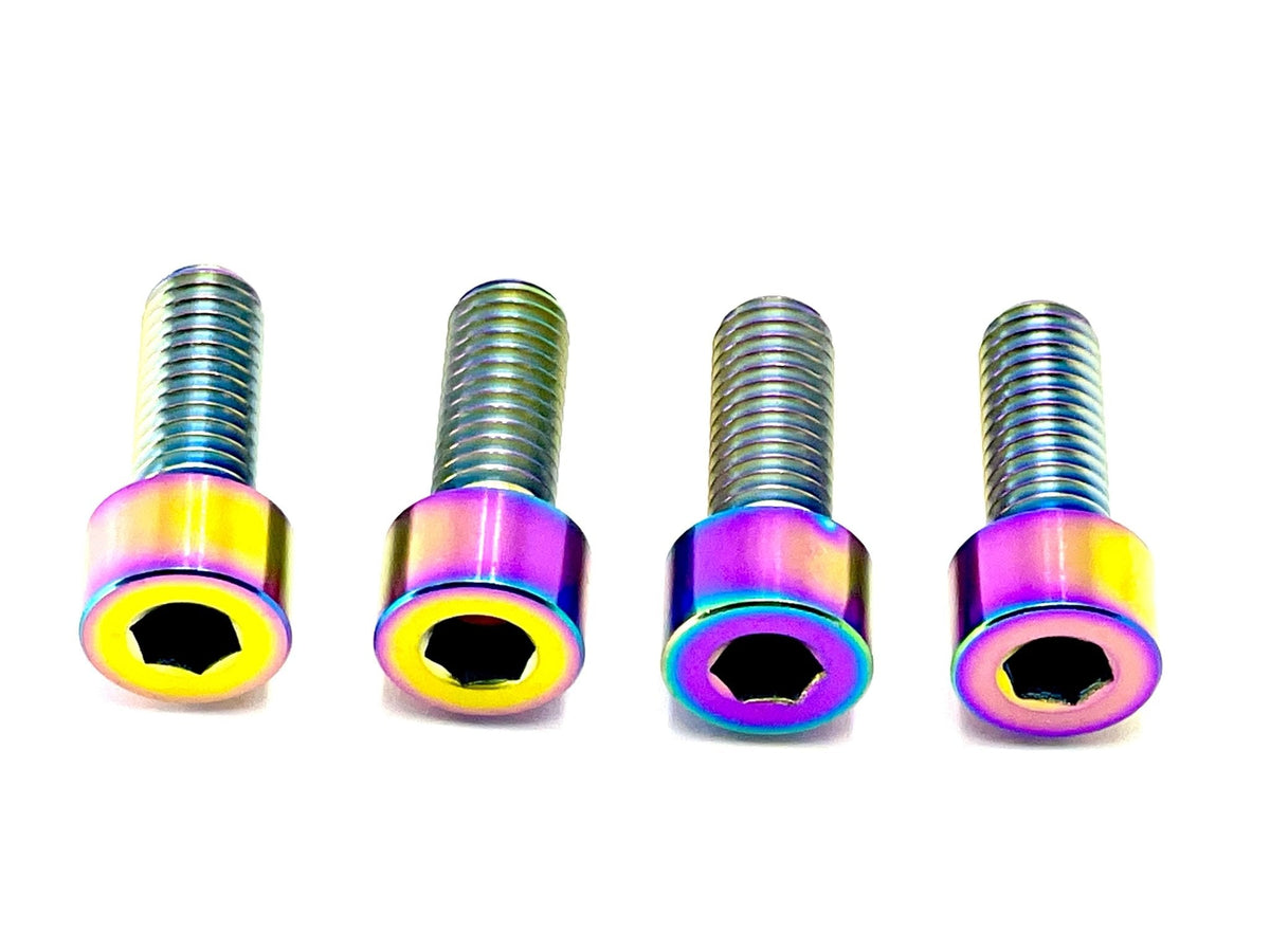 Titanium Bash Guard/ Skid Plate Bolts - Surron LBX and Segway (Set of 4) - Riot Racing