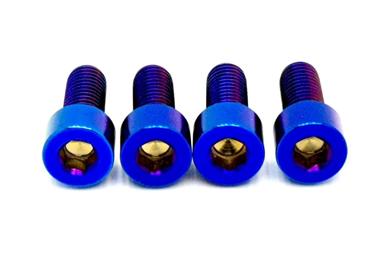 Titanium Bash Guard/ Skid Plate Bolts - Surron LBX and Segway (Set of 4) - Riot Racing