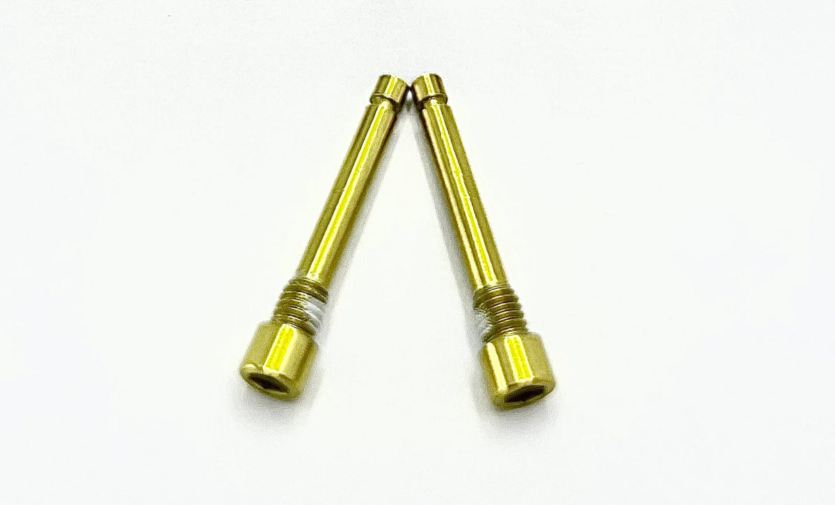 Brake-Pad Screws/ Pins - Surron LBX, Segway X260, Talaria (set of two) - Riot Racing