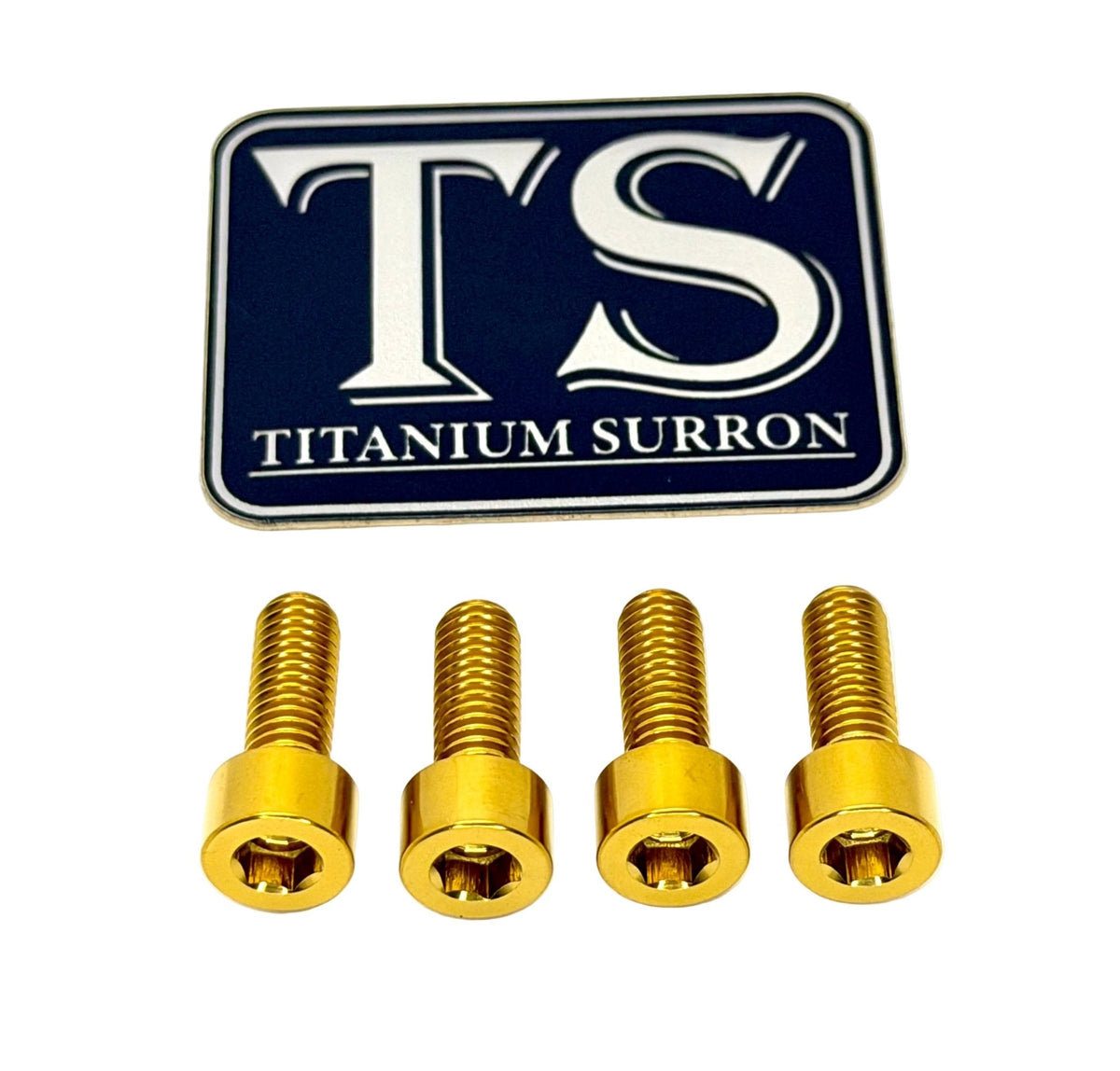Titanium Controller Mount Bolts for E-moto Titanium Surron