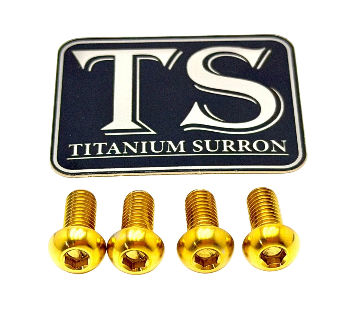 Titanium Controller Mount Bolts for E-moto Titanium Surron