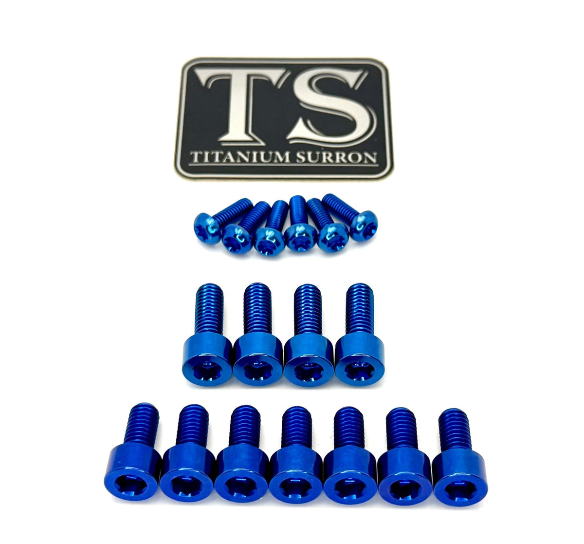 Titanium EXT Ferro Fork Bolt Kits Titanium Surron
