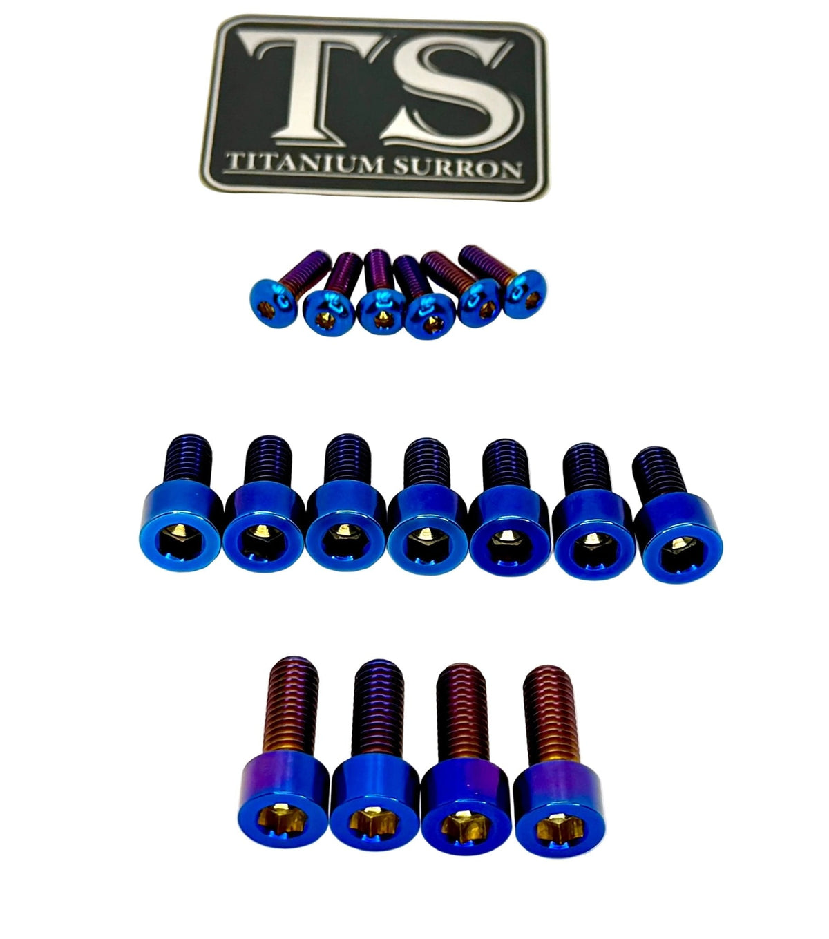 Titanium EXT Ferro Fork Bolt Kits Titanium Surron
