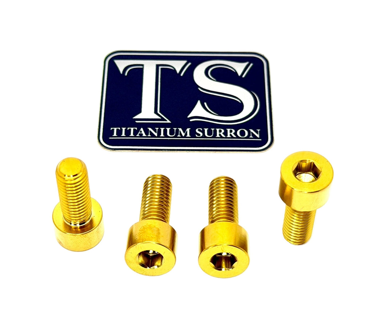 Titanium Peg Bracket Bolts - E-moto Titanium Surron