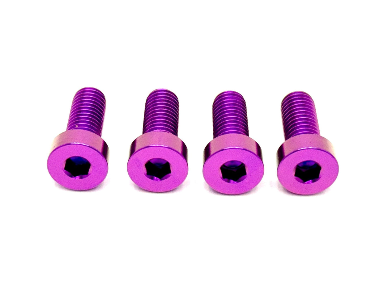 Titanium Seat/ Subframe Bolts - Surron LBX, Segway X260 (Set of 4) - Riot Racing