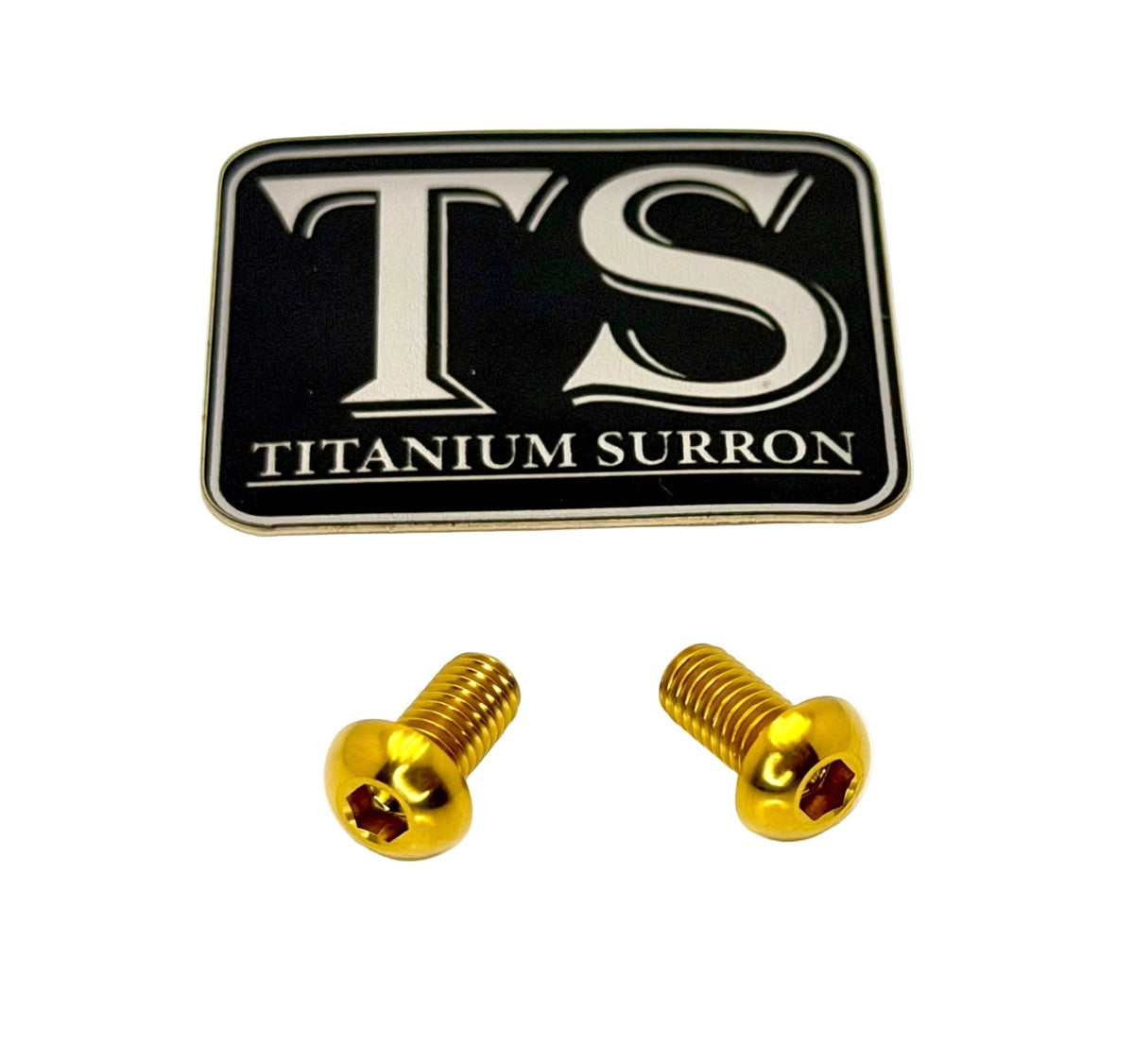 Titanium M6 Ignition Cover Bolts (Set of 2) Titanium Surron