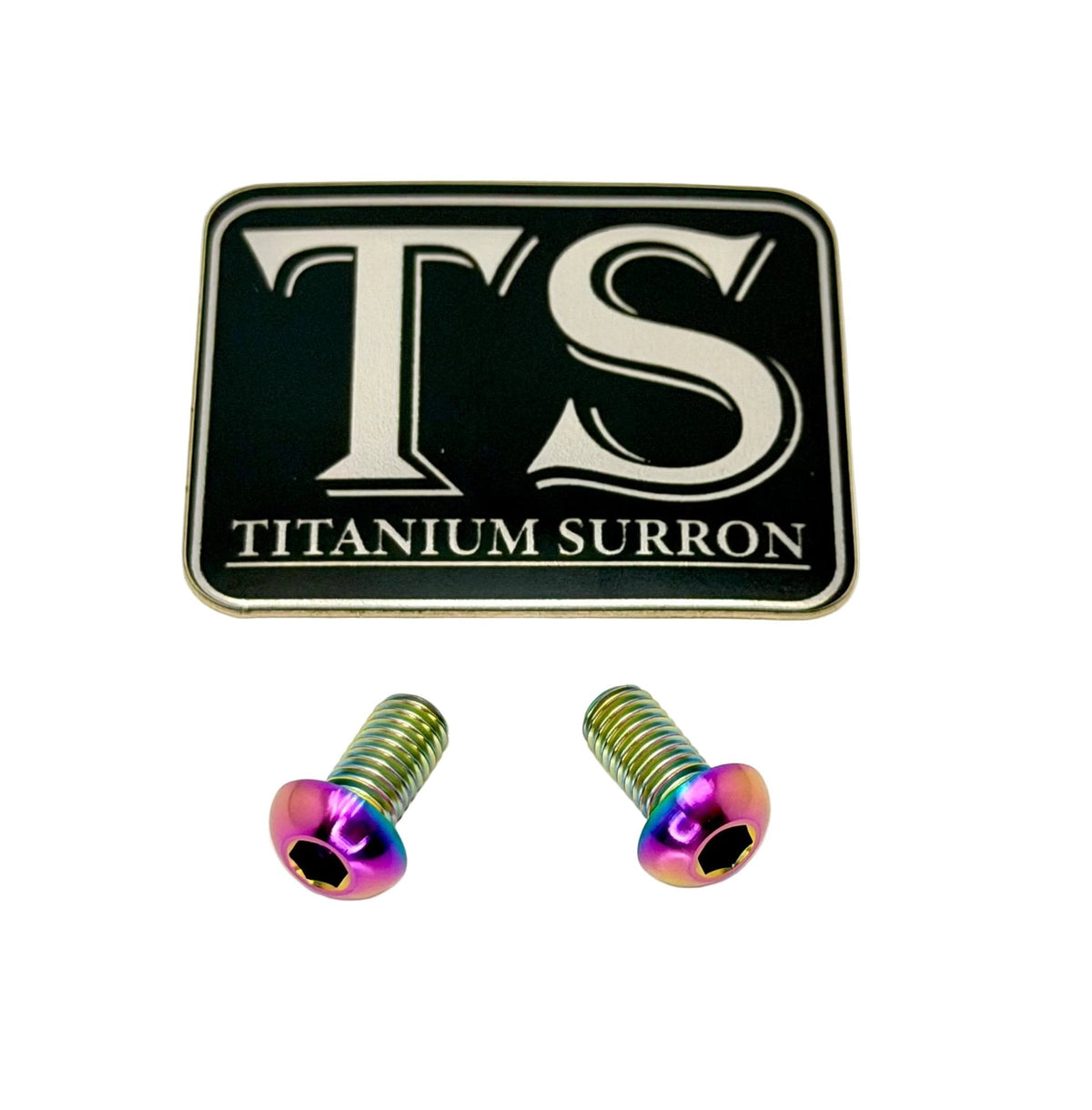 Titanium Motor Cover Bolts (Set of 2) — E-Moto Titanium Surron