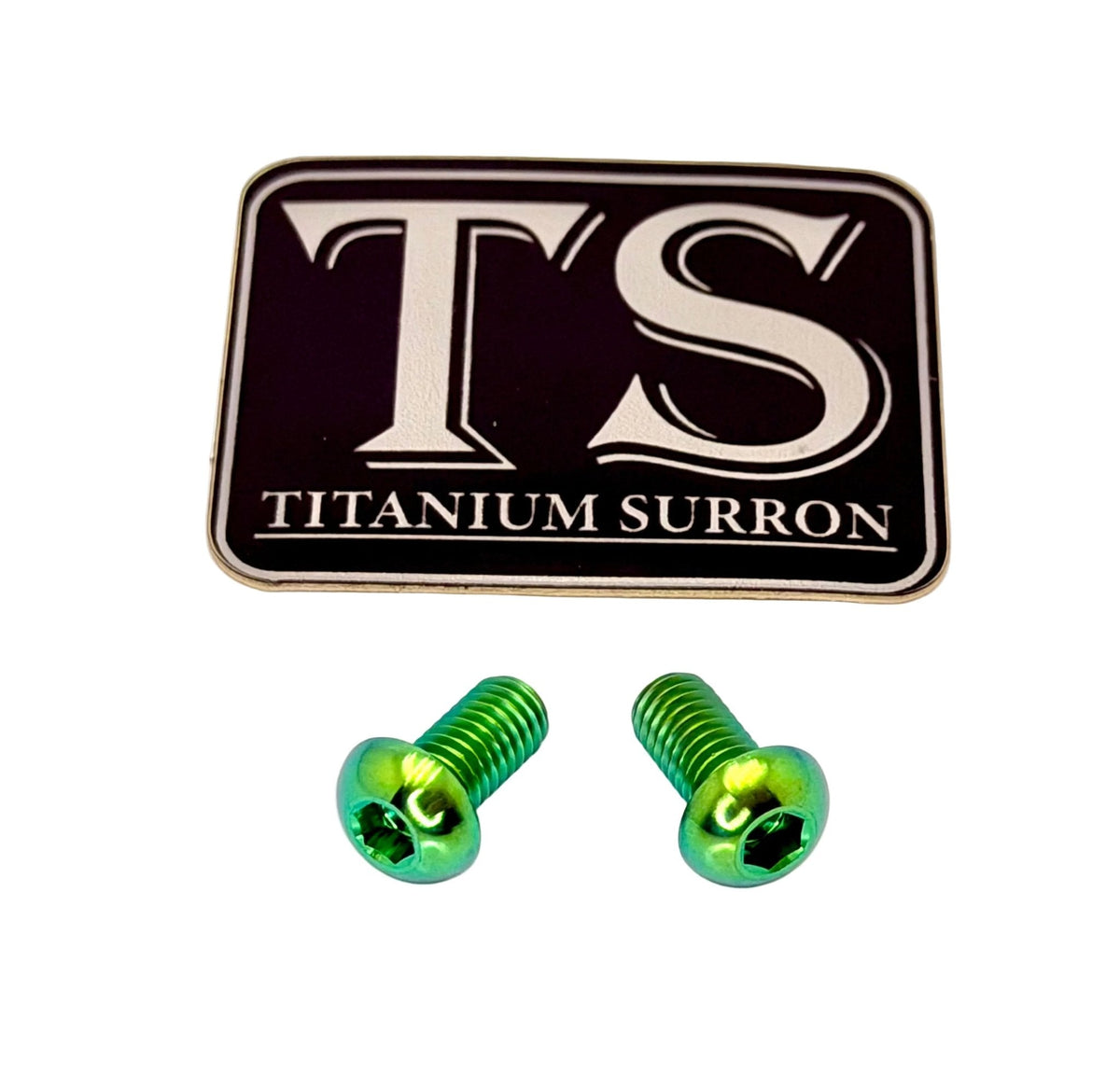 Titanium Motor Cover Bolts (Set of 2) — E-Moto Titanium Surron