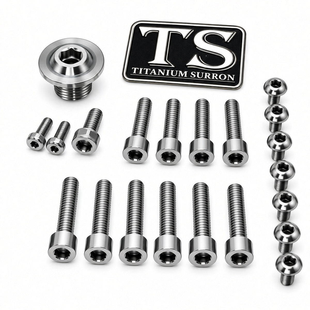 Titanium Surron Ultra Bee OEM Fork Bolt Kit Titanium Surron