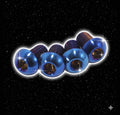 Titanium Controller bolts for Talaria XXX (four bolts) Luxury Moto