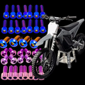 RTR Titanium Bolt Kit DevMoto