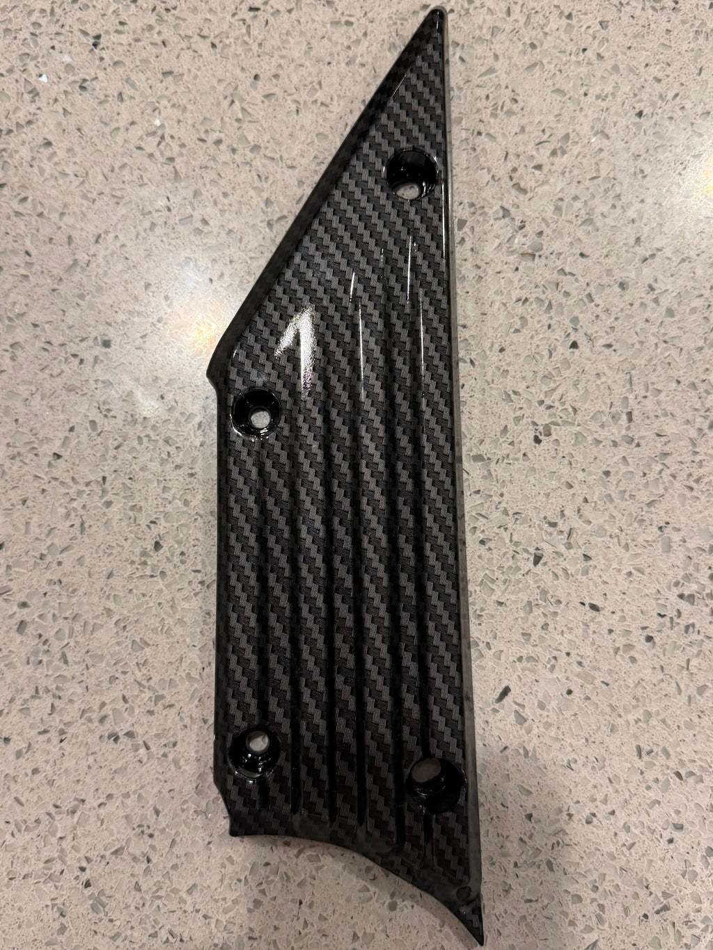 XXX Carbon Plastics Kit/Individual Pieces (Not a wrap) (SC) ExWorks