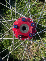 E-Moto sprocket bolts Tirider
