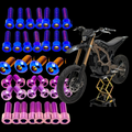 Surron Ultra Bee Titanium Bolt Kit DevMoto