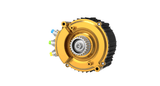 Ventus Ryuga 81kW Motor – Ultra Bee Modded Moto Co