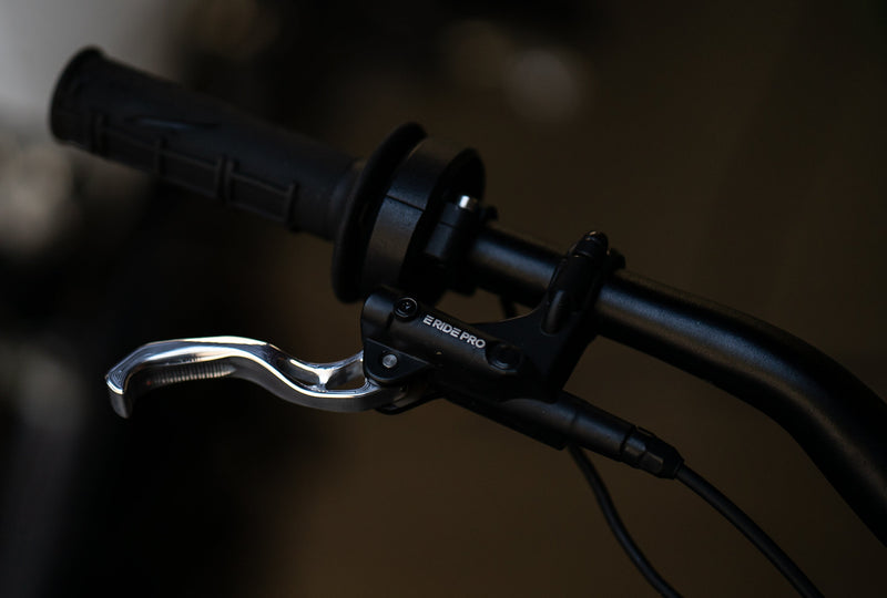 Prickly Brake Lever - E Ride / MX4 Prickly Motorsports