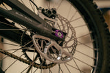 Prickly Disc Guard Fin Prickly Motorsports