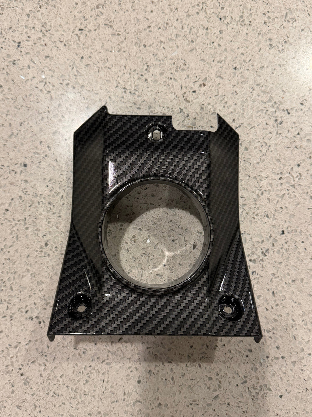 XXX Carbon Plastics Kit/Individual Pieces (Not a wrap) (SC) ExWorks