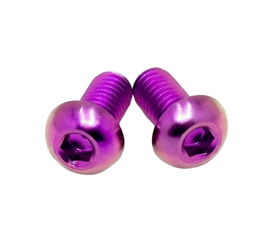 Ultra Bee Brake Reservoir Titanium Bolts DevMoto