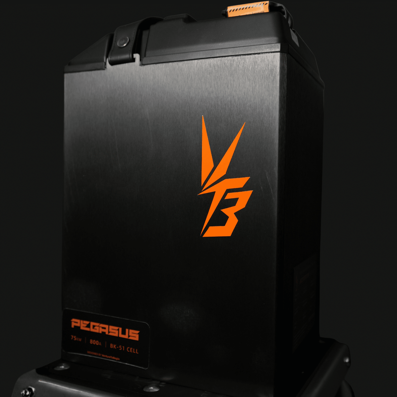 Ventus Ultra Bee Battery 96V 56AH Modded Moto Co