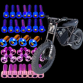 Ridstar Titanium Bolt Kit DevMoto