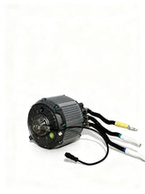 Ventus 48 KW Ultra Bee Motor Modded Moto Co