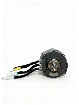 Ventus 48 KW Ultra Bee Motor Modded Moto Co