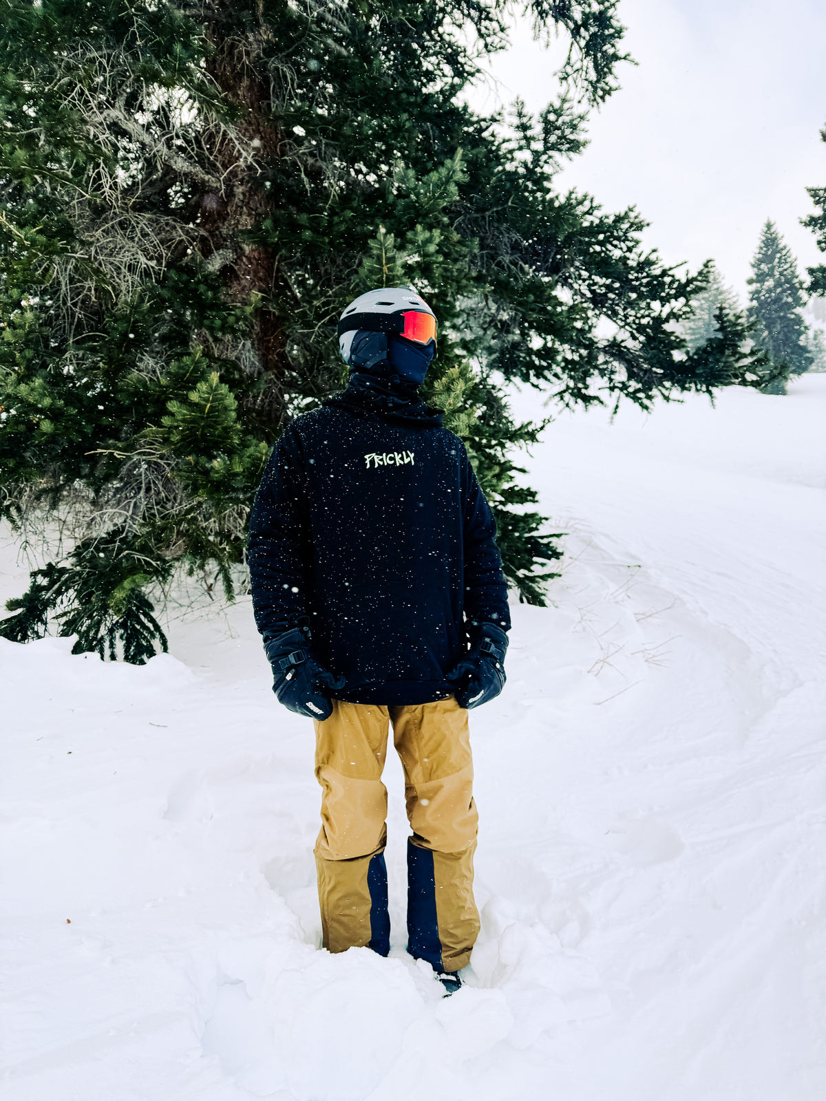 Prickly Pear Hoodie Prickly Motorsports