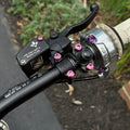 Pink Formula Hand Brake Bolts (Set of 2) ridemoda
