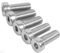 Bashguard/Subframe Bolts 5PCS Screw (M8*20) Segron Universe