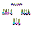 Titanium DNM/ KKE Fork Bolt Kits (Set of 11) axbolts