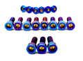 Titanium Bolt Kit for E-Ride Pro SR and Pro SS 3.0 Factory FastAce Fork (ALX32RC)(Set of 17) axbolts