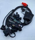 OEM Surron Ultra Bee Main Wiring Harness EV Warehouse