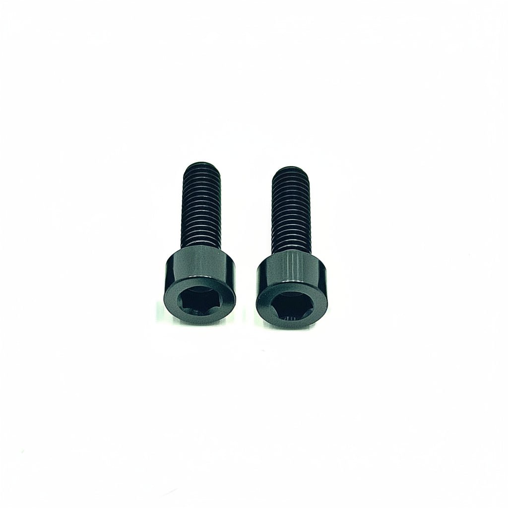 Titanium Motor Cover Bolts (Set of 2) — E-Moto Titanium Surron