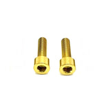 Titanium Motor Cover Bolts (Set of 2) — E-Moto Titanium Surron