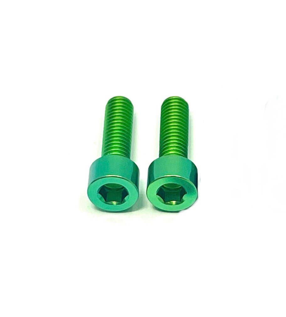 Titanium Motor Cover Bolts (Set of 2) — E-Moto Titanium Surron