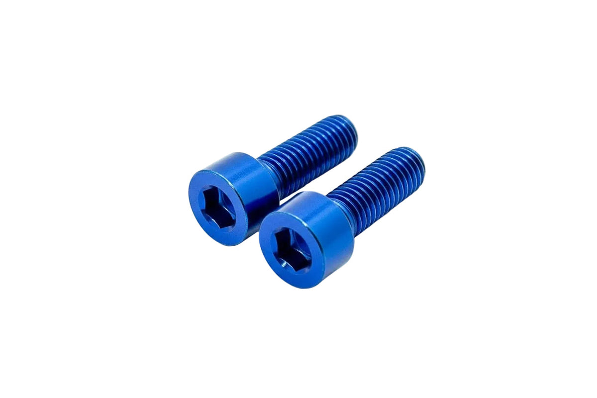 Titanium Motor Cover Bolts (Set of 2) — E-Moto Titanium Surron