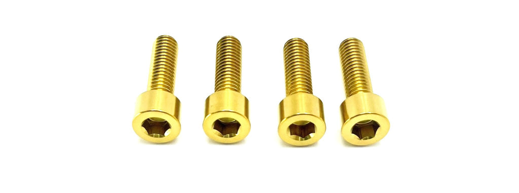 Titanium Axle Pinch Bolts for FastAce 2.0 ALX13RC and E-Ride Pro 2.0 OEM RST Forks - Riot Racing