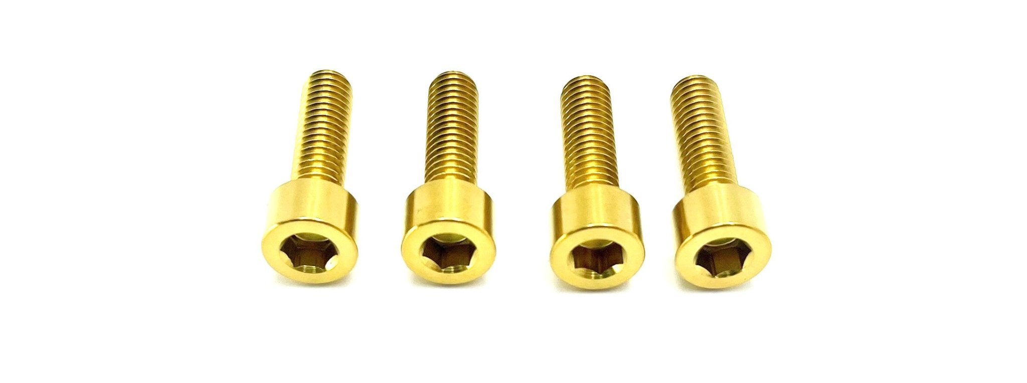 Axle Pinch Titanium Bolts for KKE/ DNM Forks - Riot Racing
